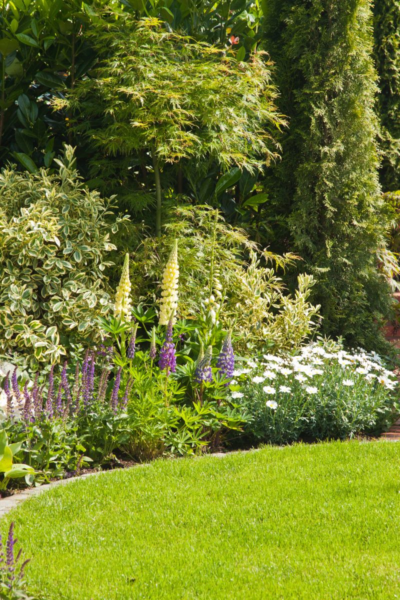 jardin jardin paysager